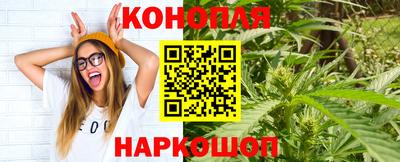 spice Кунгур