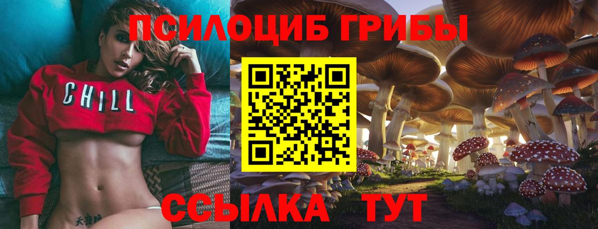 Кизилюрт  Псилоцибиновые грибы Psilocybine cubensis  Вход с VPN  Псилоцибиновые грибы мицелий 